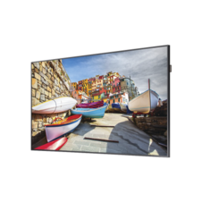 Pantalla Profesional LED de 49